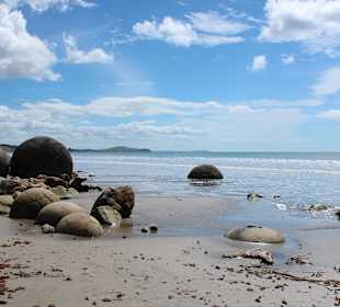 Wo gibt es sowas sonst?