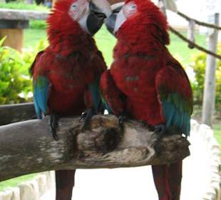 Freizeitpark