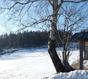 Leider noch zu  wenig Schnee