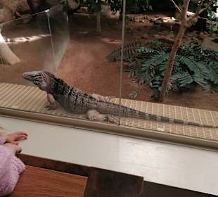 Zoologischer Garten Prag