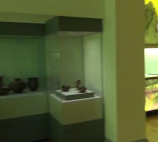 Niedersächsisches Landesmuseum