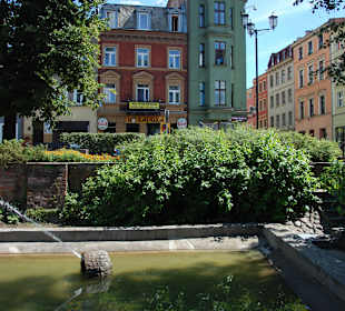 Fontanna przy Collegium Maximum