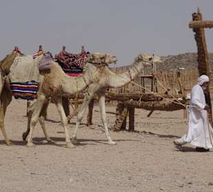 Wüstentour Hurghada