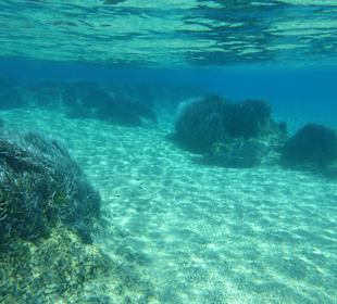 Klare Unterwasserlandschaft vor Insel Marathonisi