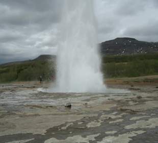 Geysir