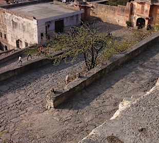 Wejście na wzgórze do świątyni