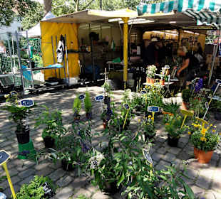 Rundgang über den Wochenmarkt Findorff