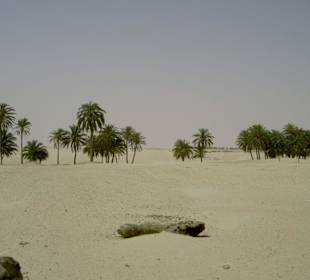 Sahara bei Douz