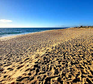Ilha de Faro (Peninsula de Ancão)