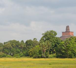 Anuradhapura