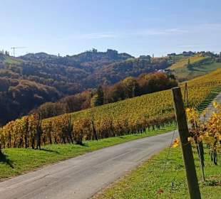 Weg zum Adam Buschenschank