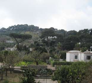 Weg zur Arco Naturale