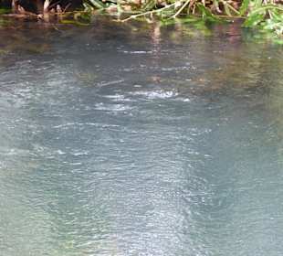 Eine Süsswasserquelle