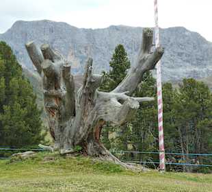 Williamshütte/Aussicht