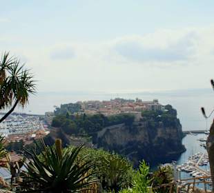 Jardin dÉxotique - Monaco