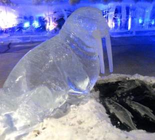 Ice Museum