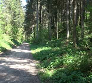 Premiumwanderweg Hochgehschätzt
