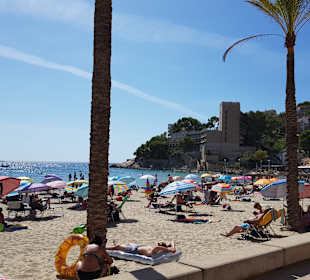 Strand Paguera/Peguera