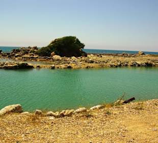 Seht euch diese Natur an...