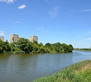 Jezioro Czerniakowskie