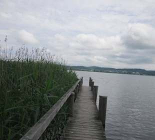 Insel Reichenau Hochwasser