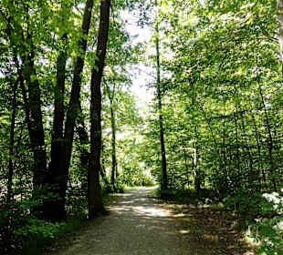 Impressionen aus dem Park Wilhelmsthal