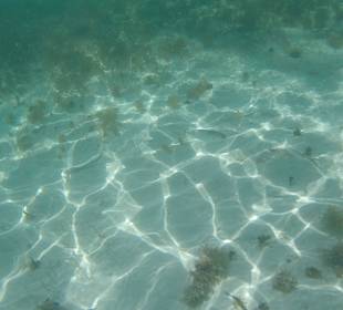 Ausflug Saona mit Ralf