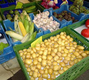 Impressionen vom Salzburger Grünmarkt
