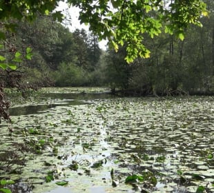 Schaichtalweg - Schlüsselsee