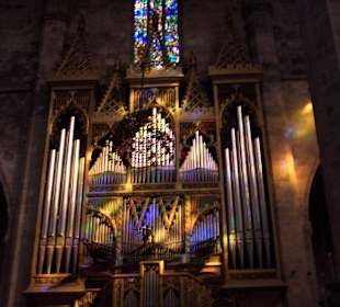 Farbenpiel auf der Orgel