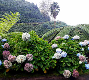 Ribeira dos Caldeirões