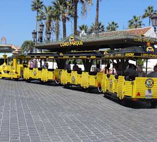 Bimmelbahn zum Loro-Parque