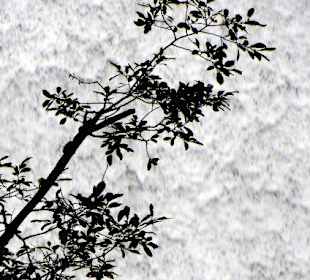 Ein Wasserteppich fällt vom Stausee