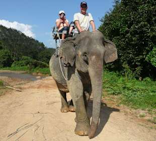 Elefantenreiten im Khao Sok Nationalpark