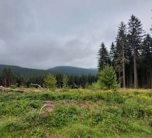 Wandern Friedrichroda