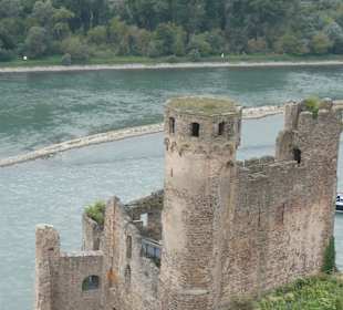 Burg Ehrenfels