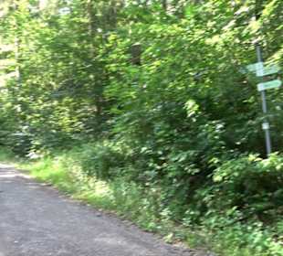 Premiumspazierweg Früchtetrauf-Leisawegle