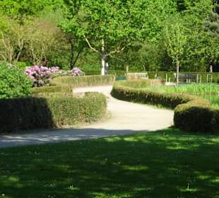 Hauptblüte im Rhododendronpark Bremen