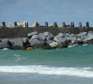 Ausflug Büsum Helgoland