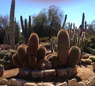 Botanischer Garten Botanicactus Ses Salines