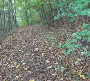 Premiumwanderweg hochgehkeltert