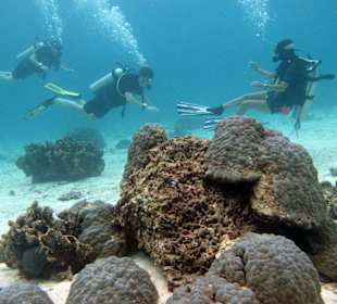 PADI Open Water Diver Course
