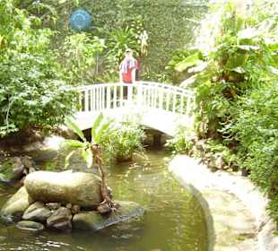 In der Schmetterlingsfarm