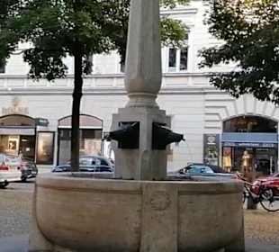 Wolfsbrunnen
