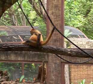 Diamante Eco Adventure Park