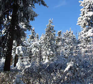 Fichtelbergwanderung