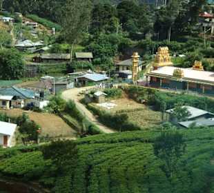 Hochland von Sri Lanka