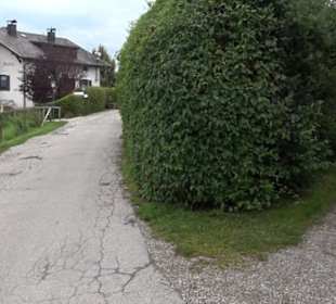 Ilkahöhe