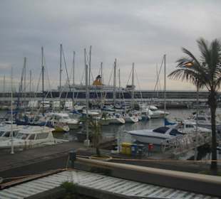 Hafen - Funchal