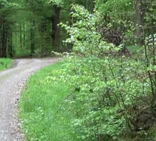 Naturpark Schönbuch